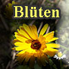 Fotos von Blüten